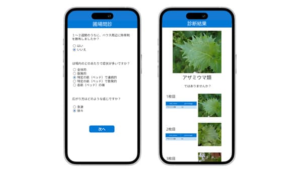 日本一のシソ産地・愛知県と「シソ病害虫AI画像診断技術」開発　ミライ菜園