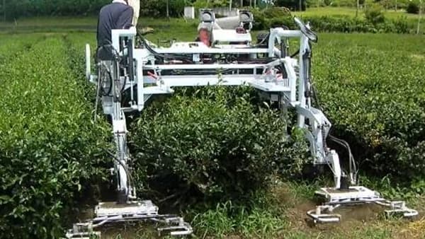 手取り除草を省力化　茶園用除草機を開発　有機栽培や除草剤を散布しない茶栽培へ　農研機構