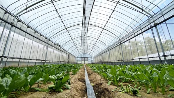 農業プロジェクト「ReFarm by SOLAMENT」本格始動　住友金属鉱山