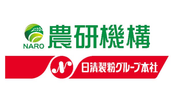 小麦ブランの成分　免疫に働きかける新機能を発見　農研機構×日清製粉