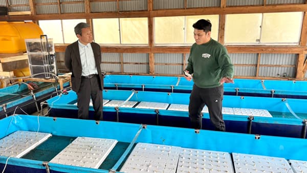 千葉大学と「オタネニンジンのアクアポニックス栽培技術に関する共同研究」開始　IGNITION