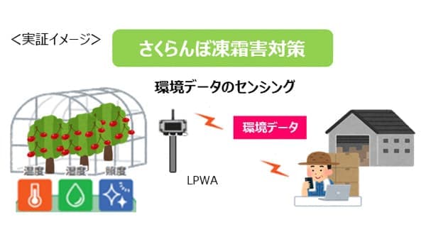 山形県寒河江市で農業分野における「LPWA活用モデル」普及促進へ　実証実験開始　NTT東日本