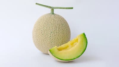 世界初　退緑黄化病抵抗性メロン「アールスアポロン」シリーズ4品種を育成　農研機構