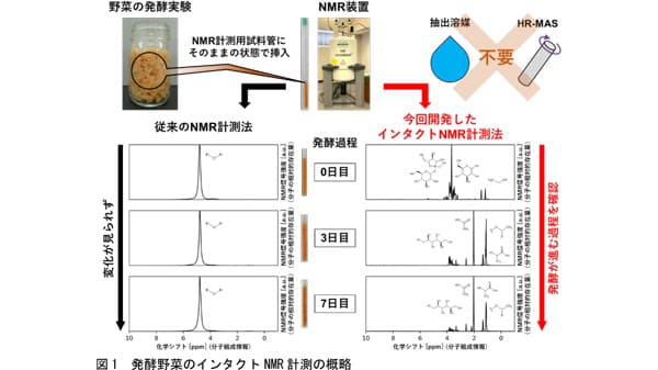 野菜の発酵過程　成分変化をNMRでそのまま評価　非破壊分析へ応用に期待　農研機構