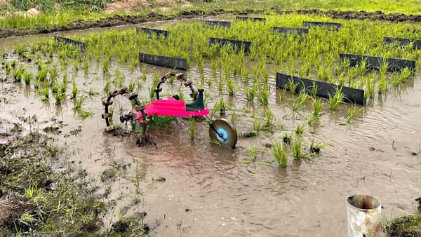 除草ロボット「ミズニゴール」2026年の量産化へ実証プロジェクト開始　ハタケホットケ