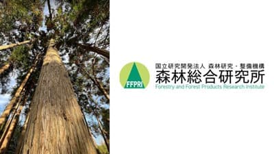 スギ全染色体の塩基配列解読に成功　無花粉品種の効率開発など可能に　森林総合研究所