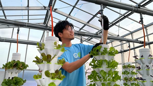 循環型農業「アクアポニックス」の保守サービス提供開始　アクポニ