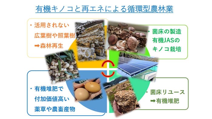 有機営農型ソーラーハウス販売へ　キノコ販売の戦略提案も　ハルカ社