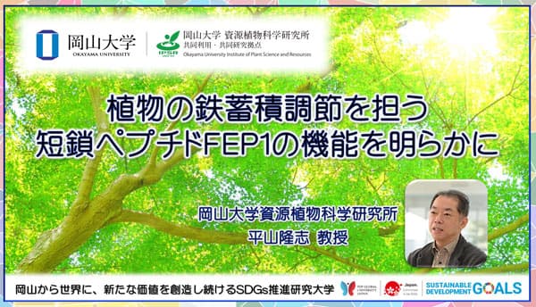 植物の鉄蓄積調節を担う"短鎖ペプチドFEP1"の機能を明らかに　岡山大学