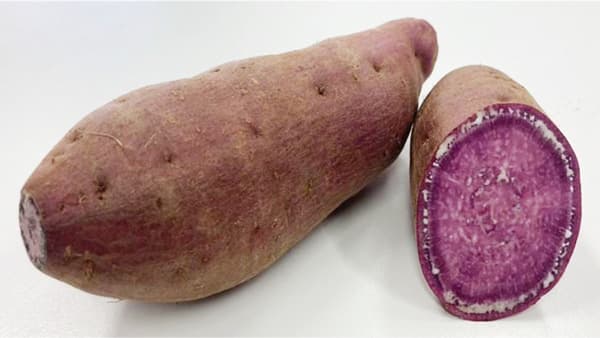 サツマイモ基腐病に強い　沖縄向け青果用紅いも新品種「Hai-Saiすいーと」育成　農研機構