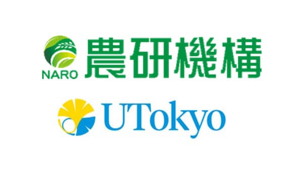 常温乾燥保存が可能な「匂いセンサー」培養細胞の作出に成功　農研機構