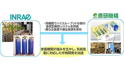 農研機構と仏INRAE主導　植物フェノタイピングに関する国際研究ネットワーク設立