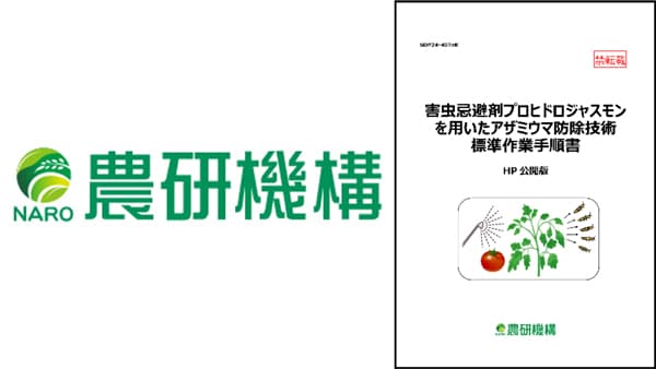 害虫忌避剤プロヒドロジャスモンを用いたアザミウマ防除　SOPを公開　農研機構