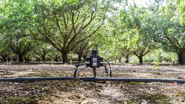 農業自動化ソリューション開発・提供　カナダのVerdi社に出資　NEC X