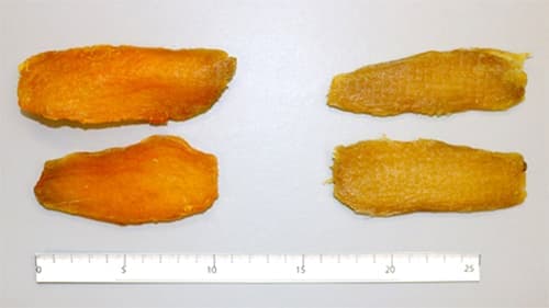 橙色の加工用サツマイモ2品種を開発　農研機構