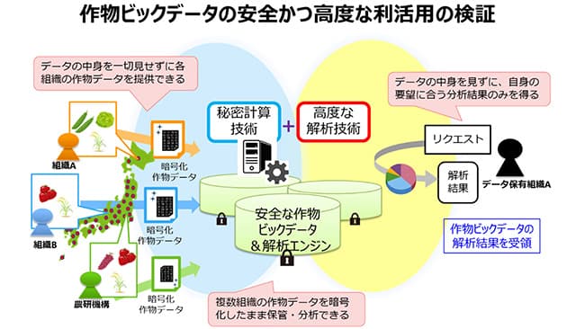 秘密計算技術で作物データ利活用を推進　NTTと農研機構が共同研究