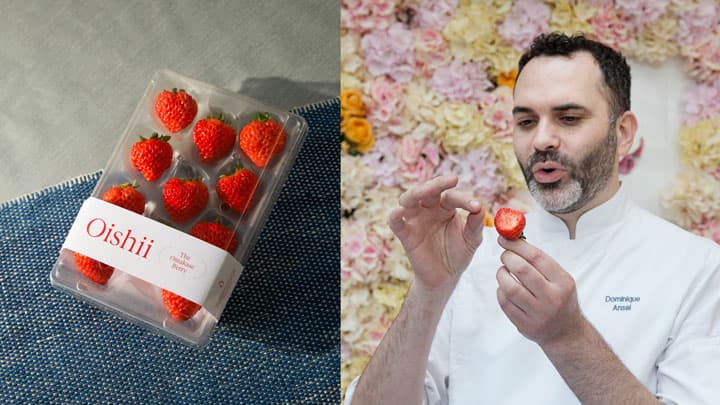 NYで世界最大の植物工場建設へ　約55億円を資金調達　Oishii Farm