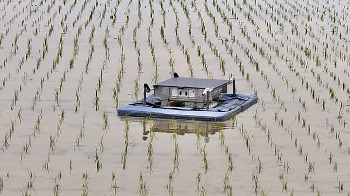 田んぼの自動抑草ロボットの開発へ　TDKから2億円を調達　有機米デザイン