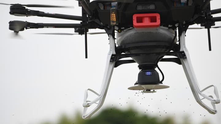 ドローンによる「水稲直播」に取り組む農家をレポート　ヤマハ発動機