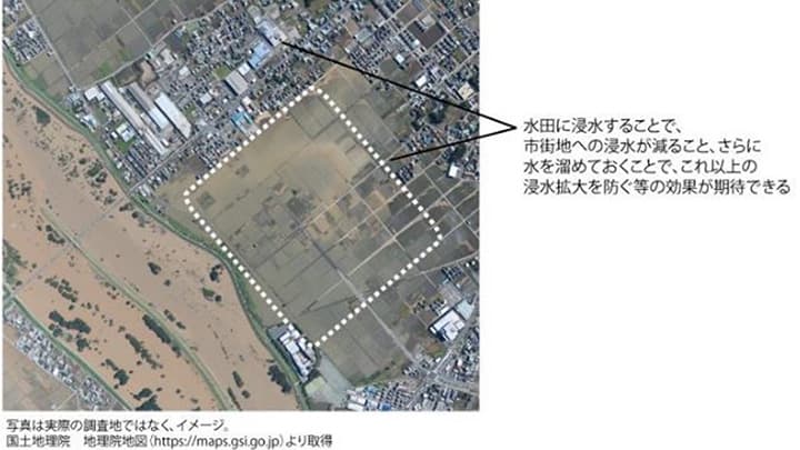 生態系を利用した防災・減災へ　特定立地の水田が洪水被害を緩和