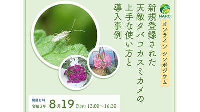 天敵タバコカスミカメの使い方と導入事例　シンポジウム開催　農研機構