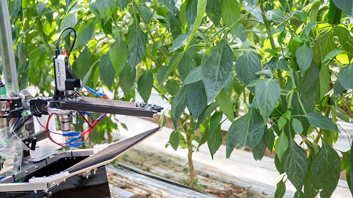 ドコモ「MIHARAS」導入で圃場の「生産性の向上」と「見回り省力化」の検証開始　アグリスト