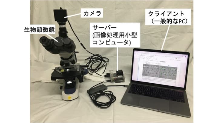 葉の気孔を計測　AIアシスト機能搭載顕微鏡システムを開発　横浜市大、名大など