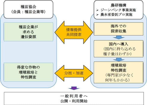 日本種苗協会と野菜遺伝資源で連携強化　海外遺伝資源の導入利用を加速　農研機構