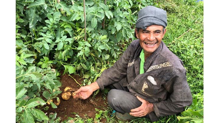 オーガニック野菜の生産性を2倍に「インドネシア農業での栽培実験報告会」開催　太陽油化