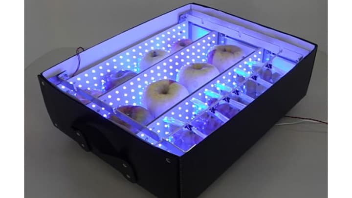 リンゴやブドウの着色を促す「果実発色促進装置」誕生　生研支援センター