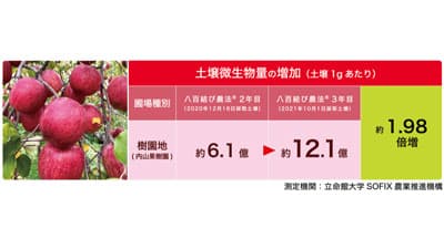 土壌総微生物量が倍増「八百結び農法」実証生産者募集　ユナイテッドスマイルズ