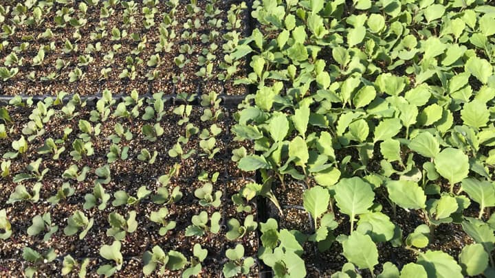 農家の水問題解決に挑むベンチャー「環境スタートアップ大臣賞」を受賞　EF Polymer