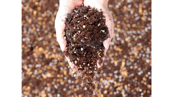 土づくりと追肥の手間を軽減「花と野菜の培養土W-SOIL-305」限定発売　サカタのタネ