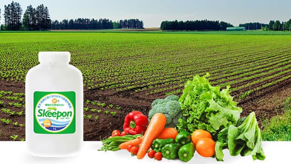 片倉コープアグリ　アクプランタと協業　高温・乾燥対策資材「スキーポン」を全国展開