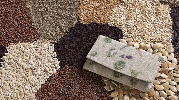 タネから紡いだ糸「一粒万倍の思い」込めた名刺入れ販売開始　タキイ種苗