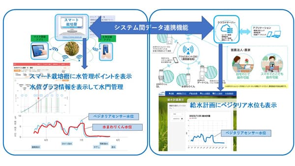「スマート栽培暦（水稲用）」と多機能型自動給水「水まわりくん」機能連携開始
