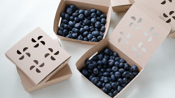 プラスチック100％削減　ブルーベリー向け紙製品容器「紙ベジクラフト」新発売