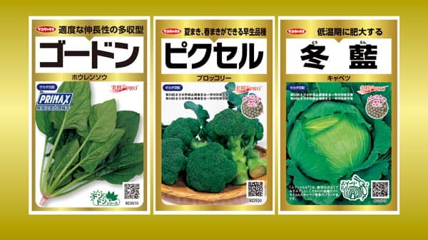 直売所生産者向け規格の絵袋種子に秋の新商品3点を追加　サカタのタネ