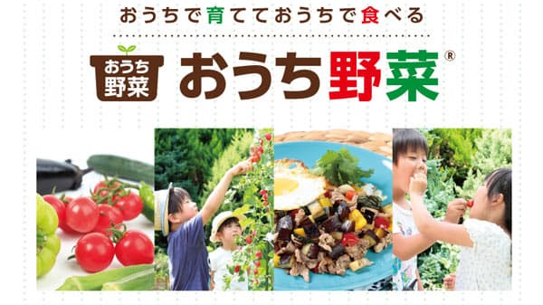 家庭菜園向け野菜苗シリーズ「おうち野菜」をリニューアル　サカタのタネ
