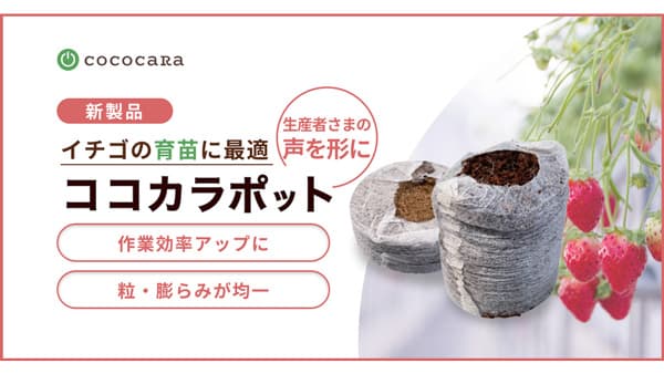 イチゴ育苗用ココピート「ココカラポット」新発売　ココカラ