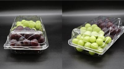 ぶどう2種盛りに　縦置き可能　大量目の仕切付き容器を新発売　エフピコチューパ