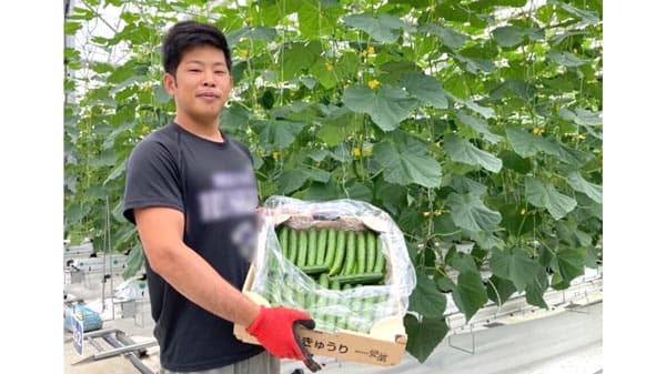 「羽生愛菜プロジェクト」2期目のきゅうり収穫を実施　タカミヤの愛菜