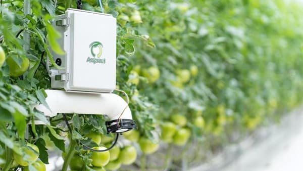 次世代施設園芸の省力化、コスト削減　生産者向けセミナー開催　サカタのタネ×ダイキン