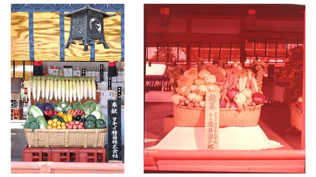 京都・伏見稲荷「初午大祭」京野菜など17種類の野菜を献菜　タキイ種苗