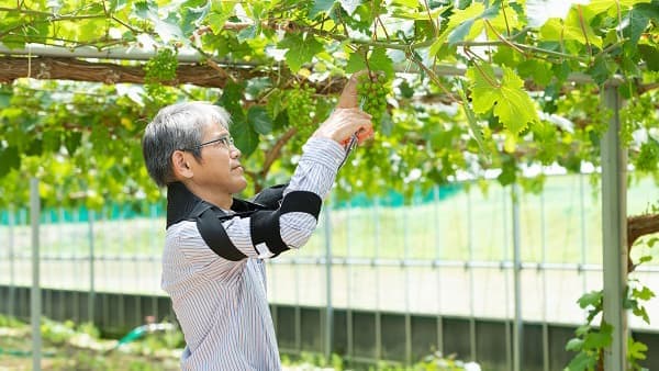 「広島県スマート農業フェア」アシストスーツなど出展　ダイヤ工業