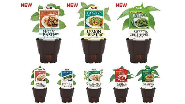 育てて食べて楽しむハーブ「S＆Bハーブ苗」14品新発売　エスビー食品