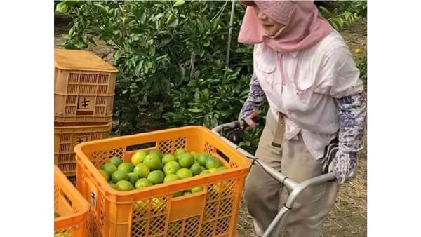 新潟県　農家の運搬作業を電動化「らくらく運搬体験会」コメリで開催　CuboRex