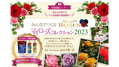 「みんなでつくるマイローズコレクション2023」バラの写真を募集　住友化学園芸