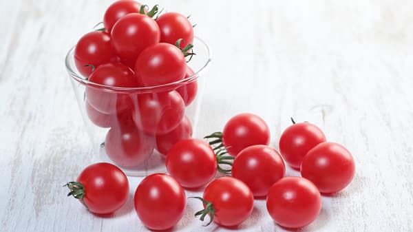 夏の収量性に優れるミニトマト「キャロルポポ」開発　サカタのタネ