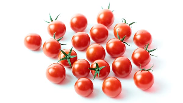 裂果に強い黄化葉巻病耐病性ミニトマト「ロイヤルパッション」開発　サカタのタネ